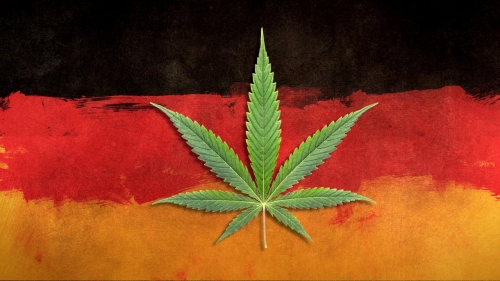 cannabis-made-in-germany-legale-geschaefte-mit-der-droge-102~1280x720.jpg