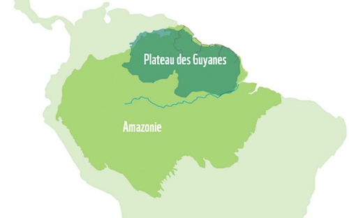 Guiana-Shield_Amazon-FR-min.jpg