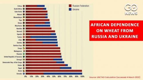 African_Dependence_on_wheat_from_Russia_and_Ukraine.jpg