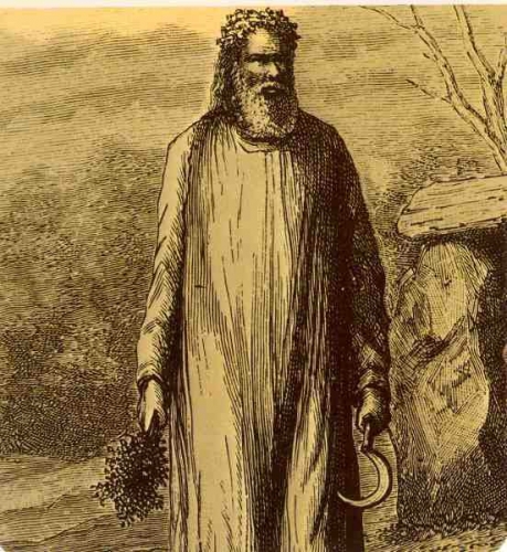 ob_307376_druide-1uf0f.jpg