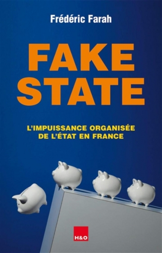 1_fake-state.jpg