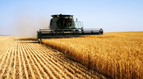 fall_harvest_istock-146785820_0_104_3294_1931.jpg