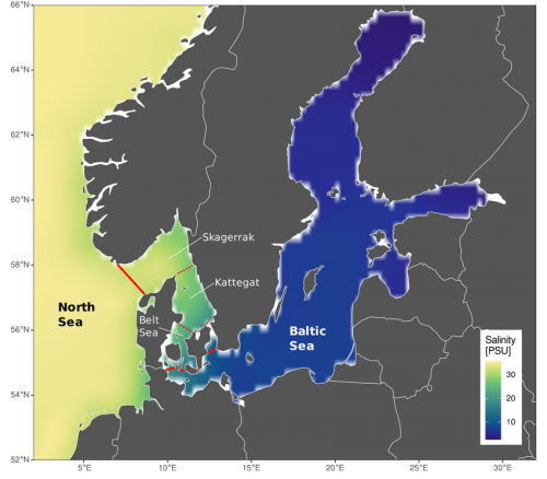 Map-of-the-North-Sea-Baltic-Sea-salinity-gradient-showing-the-decadal-interpolated-1798911619.png