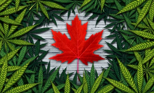 Canada-canabis.jpg