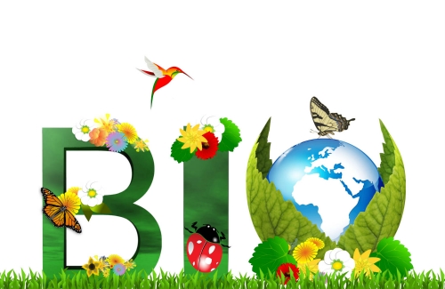 agriculture_biologique_maroc-1569639072.jpg