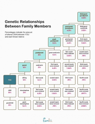 Genetic-Relationships-Between-Family-Members-Chart-Famlii.jpg