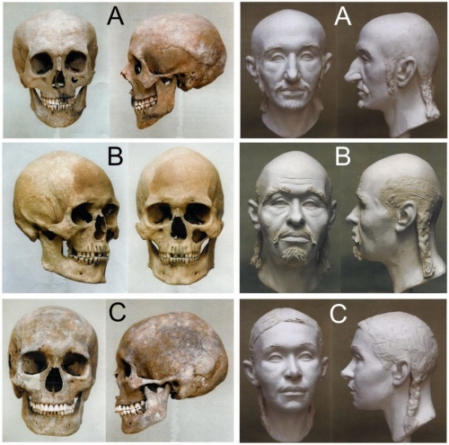 Skulls-and-sculpting-craniofacial-reconstructions-of-Hungarian-Conqueror-individuals-A.jpg