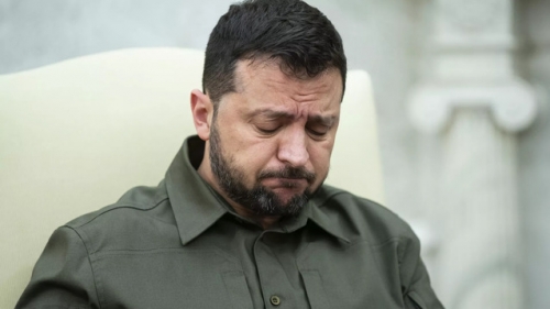 zelensky-sad1-3671399926.jpg