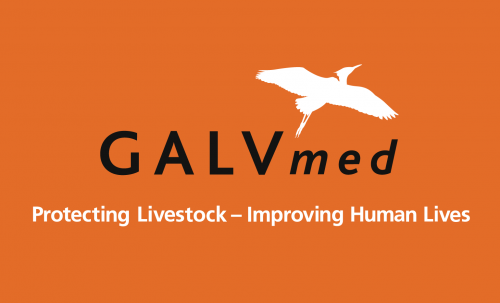 GALVmed-logo-block-RGB-4229775413.png