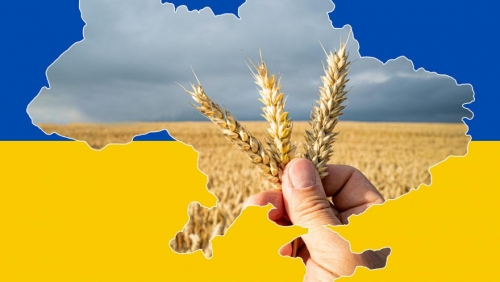busse-ukraine-weizen-landwirtschaft-hunger.jpg