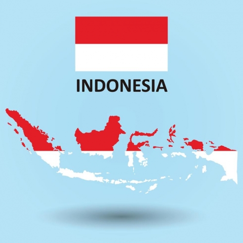 6059452-indonesie-carte-et-drapeau-fond-vecteur-vectoriel.jpg