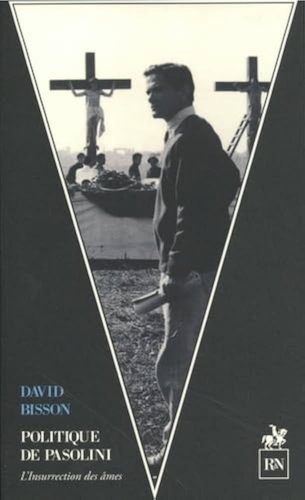 41m1GfRB4lL._AC_UF1000,1000_QL80_.jpg
