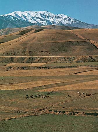 pasturelands-Zagros-Mountains-Iran.jpg