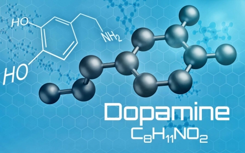 96e771cba8_50146401_dopamine-neurotransmetteur.jpg