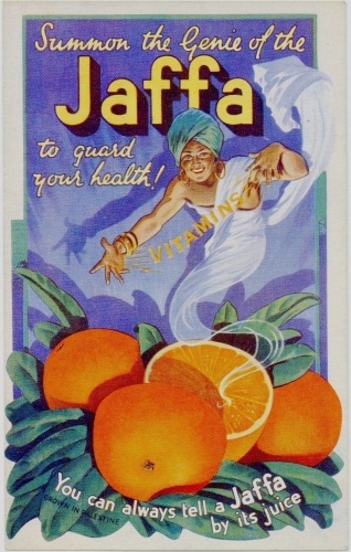 001-8722-2243347672.jpg