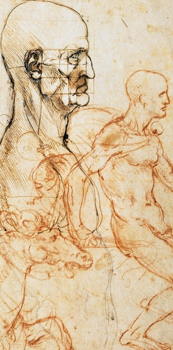 1-proportions-of-the-face-leonardo-da-vinci.jpg