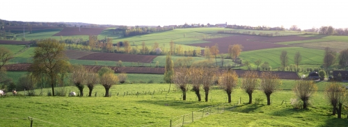 vlaamse-ardennen-akkers-1697487537.jpg
