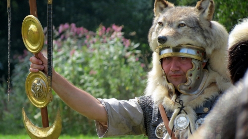 le-loup-romain-93c856f5-bbcb-49d0-b000-ec567c9793ed.jpg