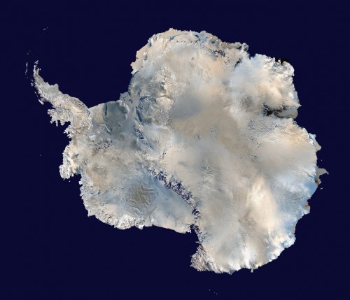 antarctique.jpg