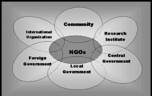 Schematic-diagram-showing-the-role-of-NGOs-in-multi---stakeholder-cooperation-Central.png