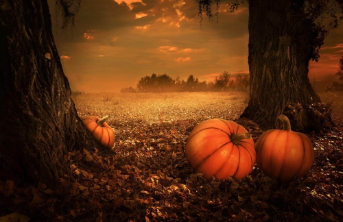 Samhain-Halloween-citrouille-crepuscule-etrange.jpg