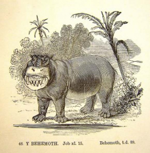 behmoth-294x300-2782964416.jpg