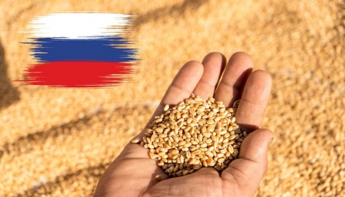 ble_russie.jpg