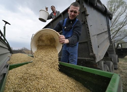 Ukraine-agriculture-grain.jpg
