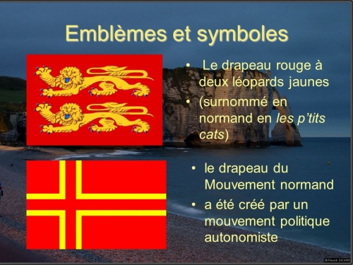 Emblèmes+et+symboles+Le+drapeau+rouge+à+deux+léopards+jaunes.jpg