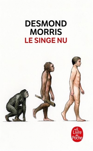 Le-Singe-nu.jpg