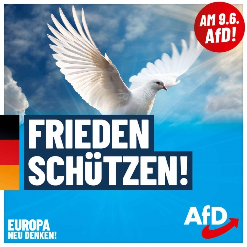 AfD_EW2024_Plakate_1080x1080_Frieden.jpg