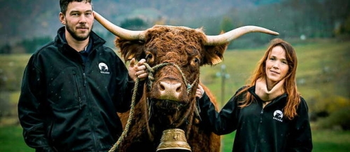 23849482lpw-23849555-article-salon-de-l-agriculture-vache-egerie-jpg_9152930_660x287-328163745.jpg