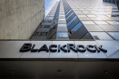 BlackRock-33348-2749784608.jpg