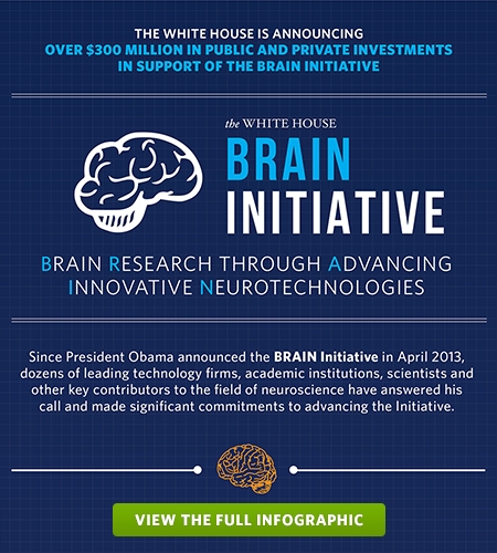 brain_infographic2014_teaser.jpg