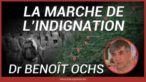 Marche-de-l-indignation.png