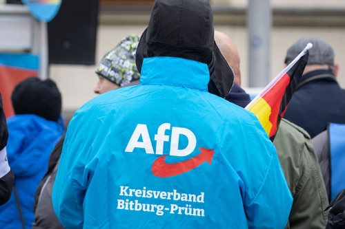 resultats-afd-elections-federales-3866116450.jpg