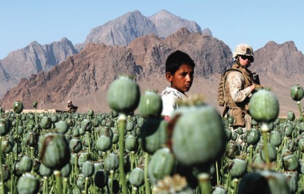 poppy-field-afghanistan.jpg