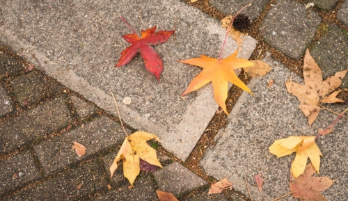 automne-autumn-fall-rue-street-grenoble-france-vaienvadrouille.jpg
