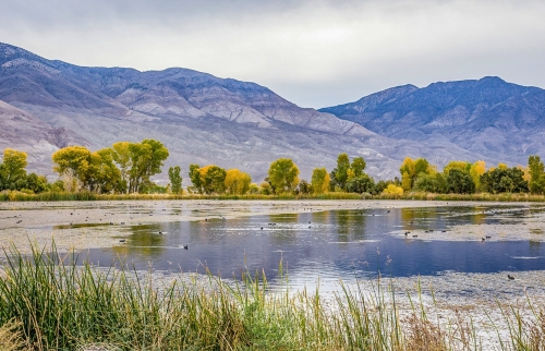 GY-OwensValley-1-3541804480.jpg
