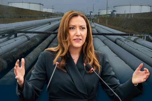 Steger-Druschba-Pipeline-1756108937.jpg
