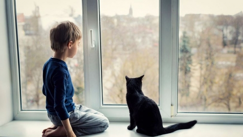 870x489_sc_enfant-chat-chezlui.jpg