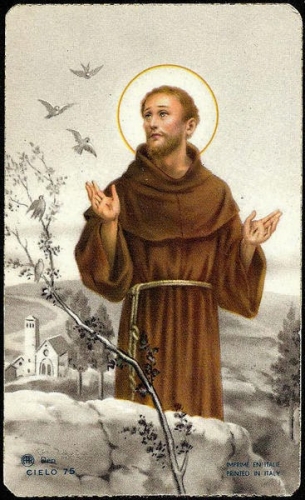 saint+francois-1103699961.jpg