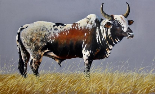 Nguni-Cattle-Zulu-Names-Joe-Marais-painting-crop.jpg
